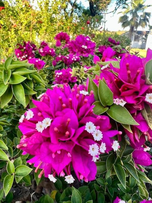 Finca Tierra Sana Estepona Ngoại thất bức ảnh