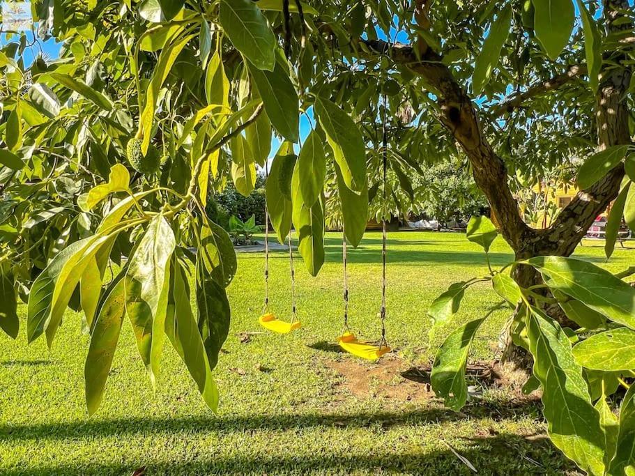 Finca Tierra Sana Estepona Ngoại thất bức ảnh