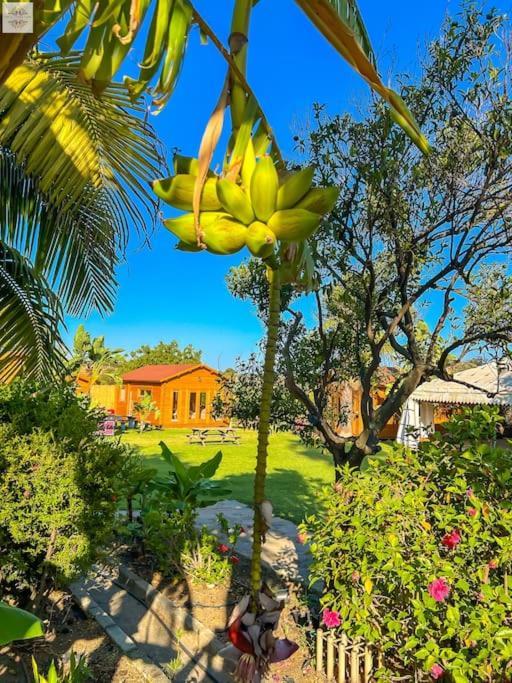 Finca Tierra Sana Estepona Ngoại thất bức ảnh
