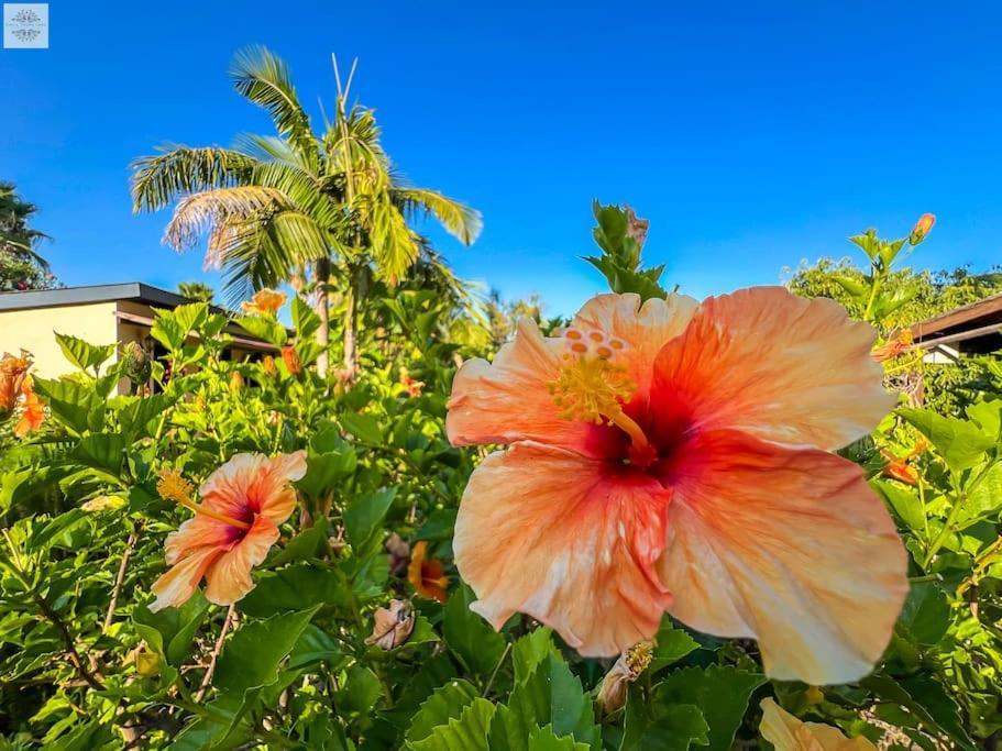 Finca Tierra Sana Estepona Ngoại thất bức ảnh